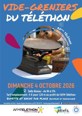 Image Vide grenier au profit du Téléthon (photo 1)
