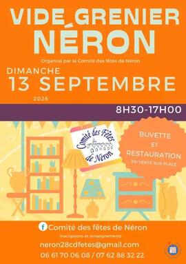 Image vide grenier (photo 1)