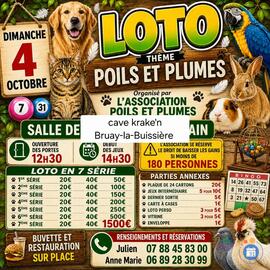 Image Mega loto (photo 1)