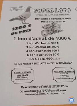 Image loto colombophile de la vallée de la fensch (photo 1)