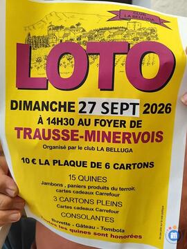 Image Loto (photo 1)