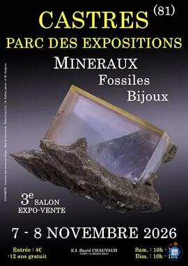 Image 3e SALON MINERAUX FOSSILES BIJOUX de CASTRES (Tarn) (photo 1)