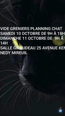 Image Vide greniers en salle (photo 1)