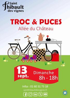 Image Troc et puces Saint Thibault des Vignes (photo 1)