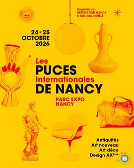 Image LES PUCES INTERNATIONALES DE NANCY (photo 1)