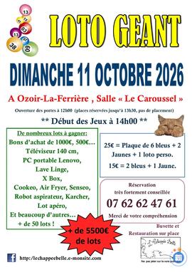 Image LOTO GEANT 77 Ozoir la Ferrière plus de 5500e de lot BA 1000e (photo 1)