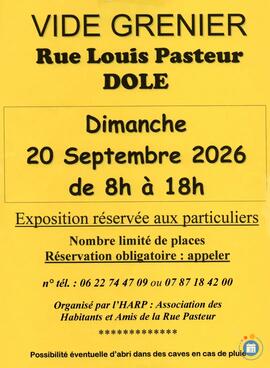 Image Vide grenier rue Louis Pasteur (photo 1)