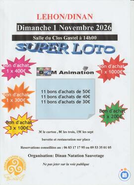 Image Dinan Natation Sauvetage (photo 1)