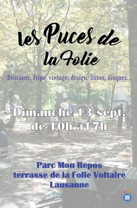 Image Les Puces de la Folie (photo 1)