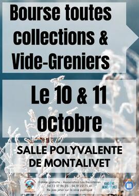 Image bouse toutes collections et vide greniers de l'automne (photo 1)