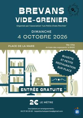 Image Vide grenier annuel de Brevans (photo 1)