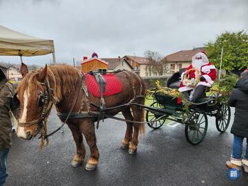 Image Marché de Noel de Murianette (photo 1)