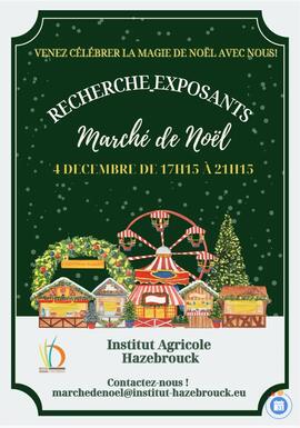 Image Village de Noël (photo 1)