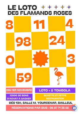 Image Loto des flamands roses (photo 1)