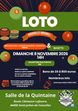 Image LOTO Hirondelle Handball (photo 1)