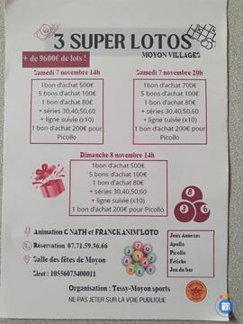 Image 3 SUPERS LOTOS ANIMES PAR NATHALIE CAILLOT (photo 1)