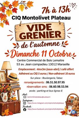 Image vide grenier de l automne (photo 1)