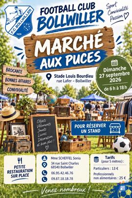 Image Marché aux puces , Stade Bollwiller (photo 1)
