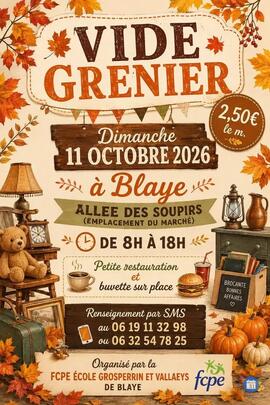 Image Vide grenier Fcpe école Grosperrin Vallaeys (photo 1)