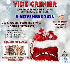 Image VIDE GRENIER DE NAVIDAD (photo 1)