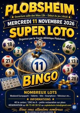 Image Super Loto bingo (photo 1)