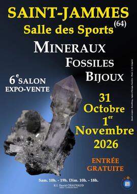 Image 6e SALON MINERAUX FOSSILES BIJOUX de SAINT-JAMMES (Pyrénées-Atlantiques) (photo 1)