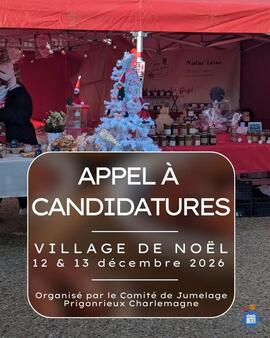 Image 10ème Village de Noël (photo 1)