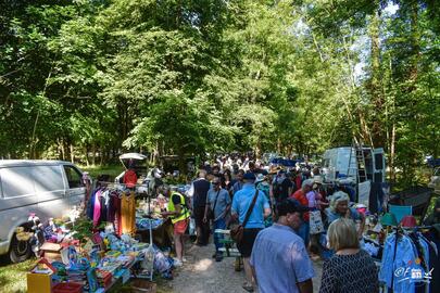 Image Vide grenier (photo 1)