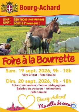 Image Foire à tout de la Foire à la bourette (photo 1)