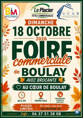 Image Foire commerciale avec Brocante (photo 1)