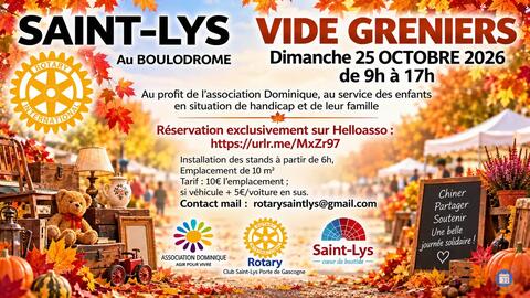 Image VIDE-GRENIERS À SAINT-LYS ! (photo 1)