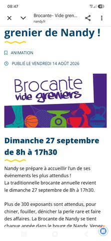 Image Vide-grenier de nandy (photo 1)