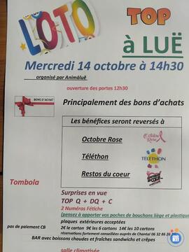 Image Loto top (photo 1)