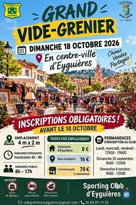 Image Grand vide grenier Eyguières (photo 1)