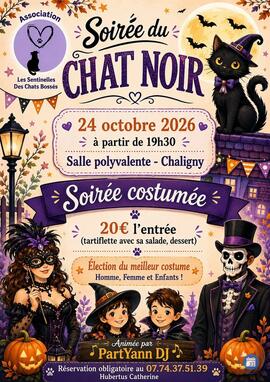 Image Soirée dansante+ repas des chats noirs halloween (photo 1)