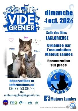 Image Vide Grenier de Matous Landes (photo 1)