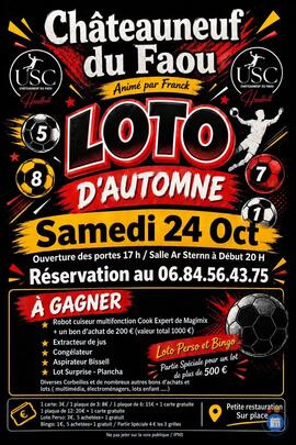 Image Loto de l'USC handball (photo 1)