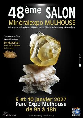 Image 48ème salon Minéralexpo-Mulhouse (photo 1)