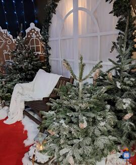 Image Marché de Noël d'Oissery (photo 1)