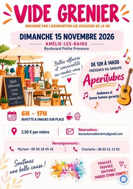 Image Vide grenier de l’association « Les couleurs de la vie » (photo 1)