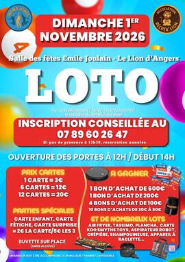 Image LOTO ASSOCIATION RECREA' LION PAR JOCE ANIMATION (photo 1)