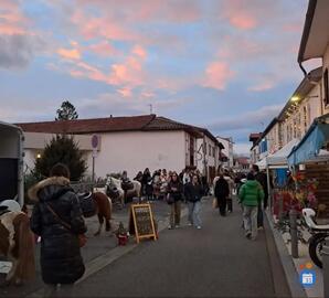 Image Marché de Noël artisanal du centre-ville (photo 1)