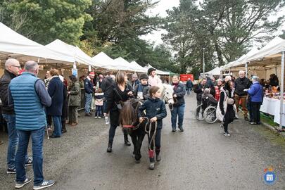 Image Marché de Noël Adel'es (photo 1)