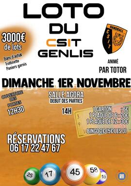 Image LOTO DU CSIT HANDBALL (photo 1)