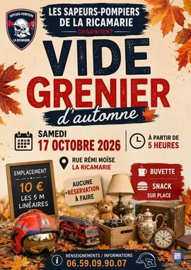 Image Vide Grenier des Sapeurs Pompiers de La Ricamarie (photo 1)