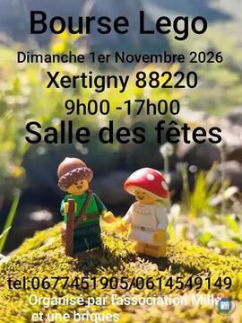 Image 1er bourse lego a Xertigny (photo 1)