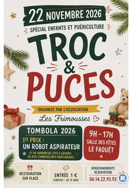 Image Troc et puces spécial enfants et puériculture (photo 1)