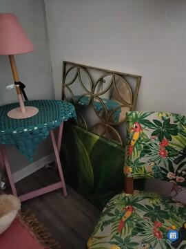 Image Grand vide maison, vide plantes et garage, tout débarrasser cause vente maison (photo 1)