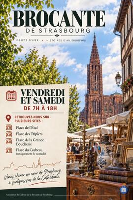 Image Brocante de STRASBOURG (photo 1)