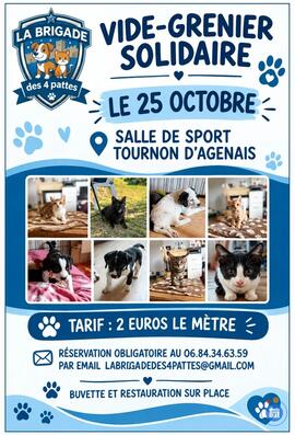Image Vide grenier solidaire (photo 1)